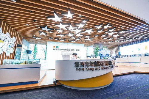 深圳 四十载风华织就城市文化底蕴，经纪人服务赋能艺术新生态